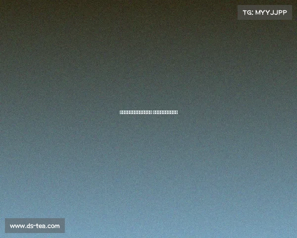 梅州客家攻守失衡防守需改进 成绩提升依赖团队协作